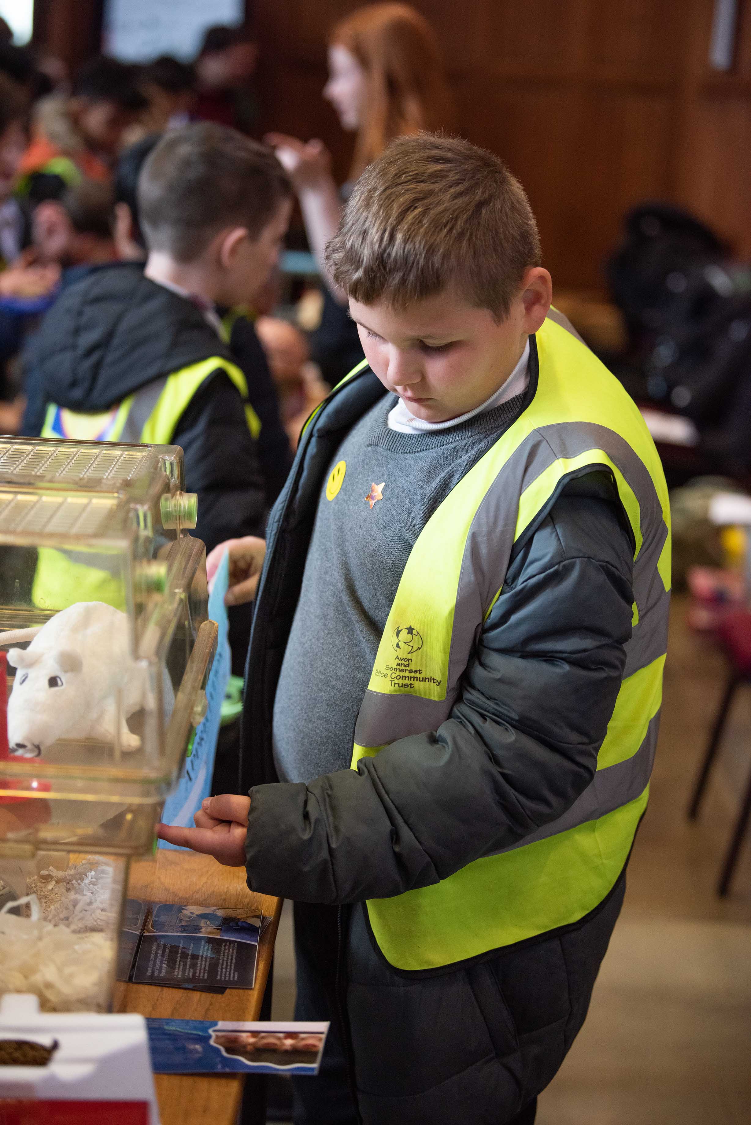 Rat cages and animal welfare